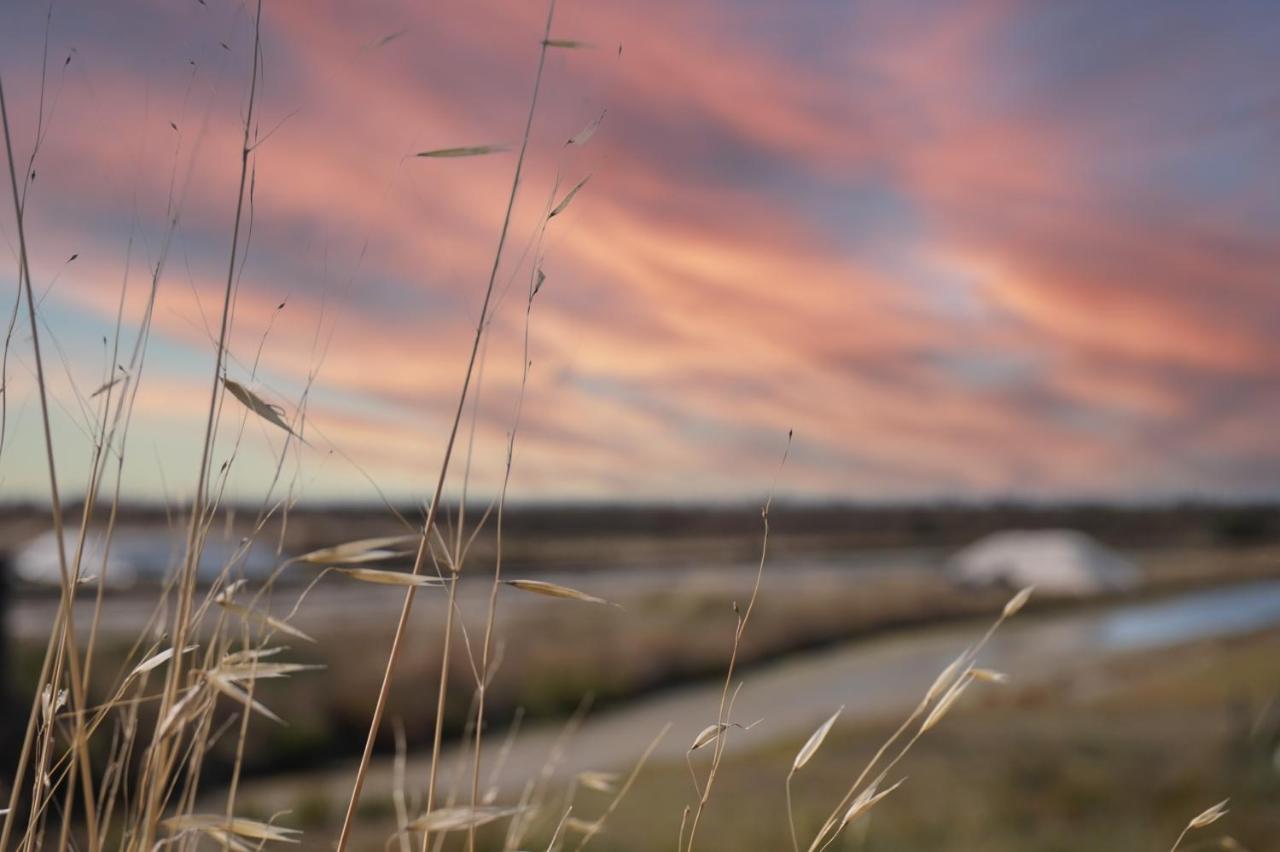 Le Parc Des Mimosas Villa Noirmoutier-en-l'Ile Eksteriør billede