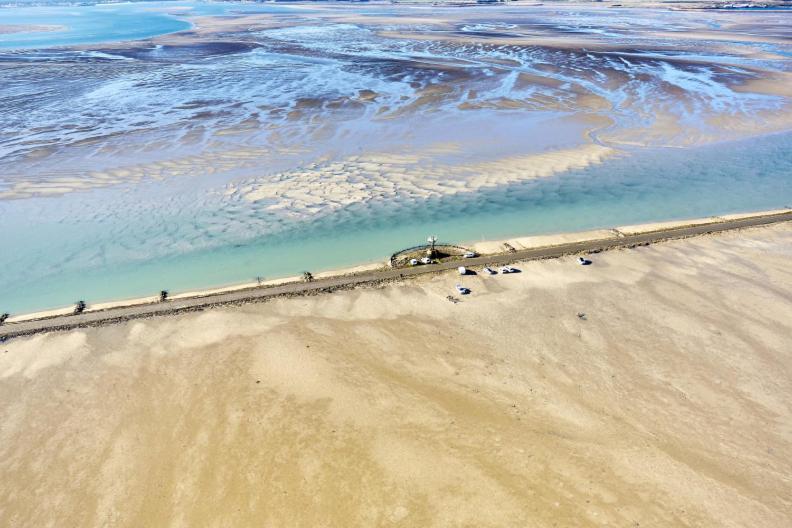 Le Parc Des Mimosas Villa Noirmoutier-en-l'Ile Eksteriør billede