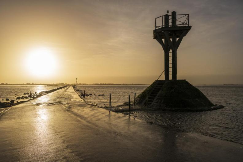 Le Parc Des Mimosas Villa Noirmoutier-en-l'Ile Eksteriør billede